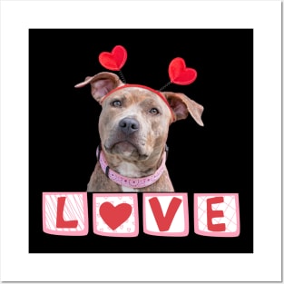 Pitbull Valentine Posters and Art